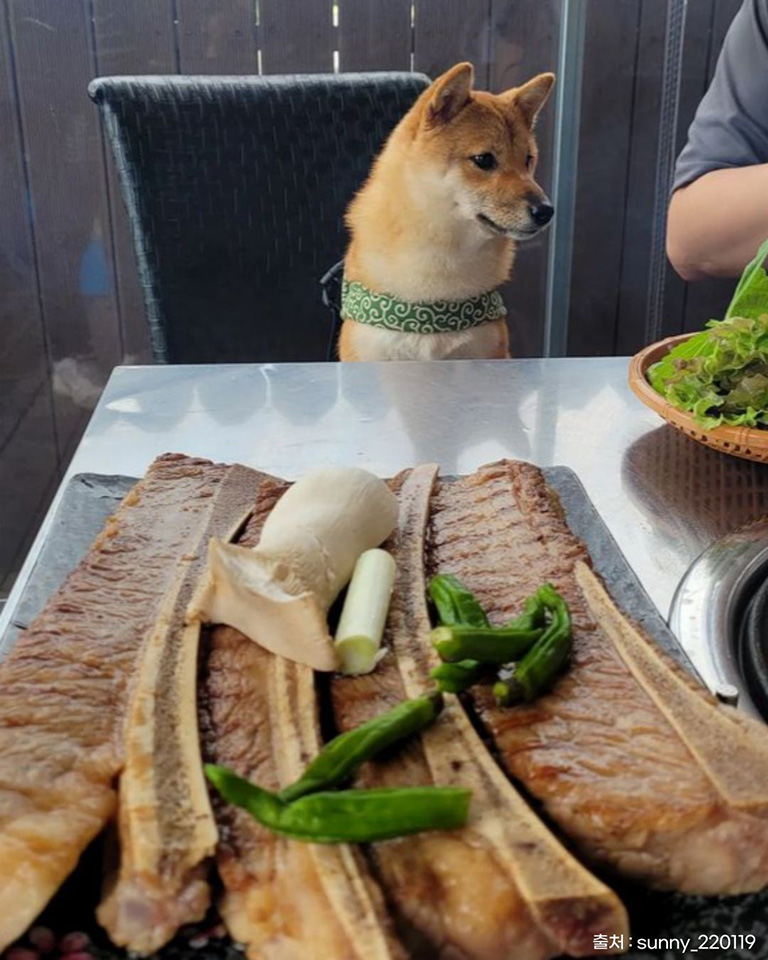 댕고정