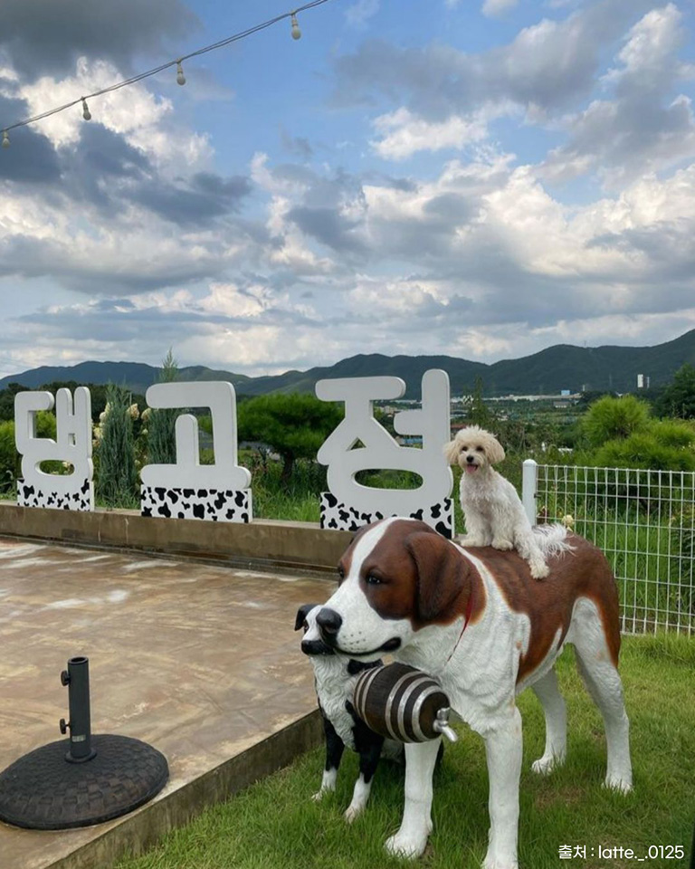 댕고정