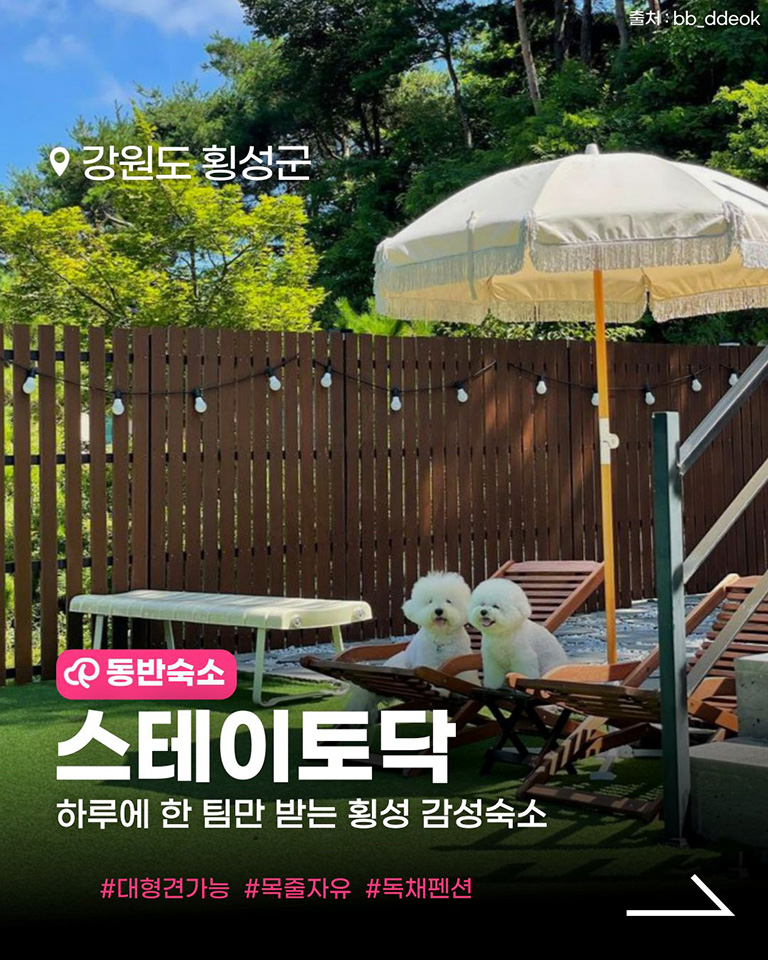 스테이토닥