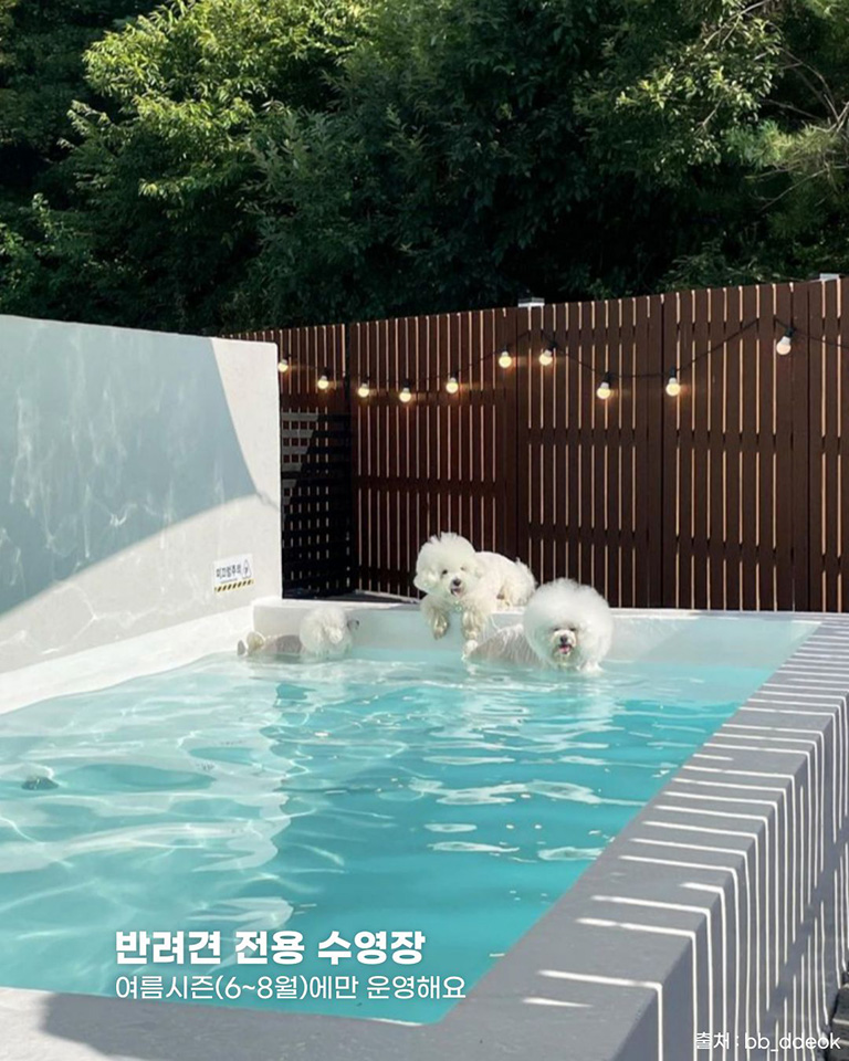 스테이토닥
