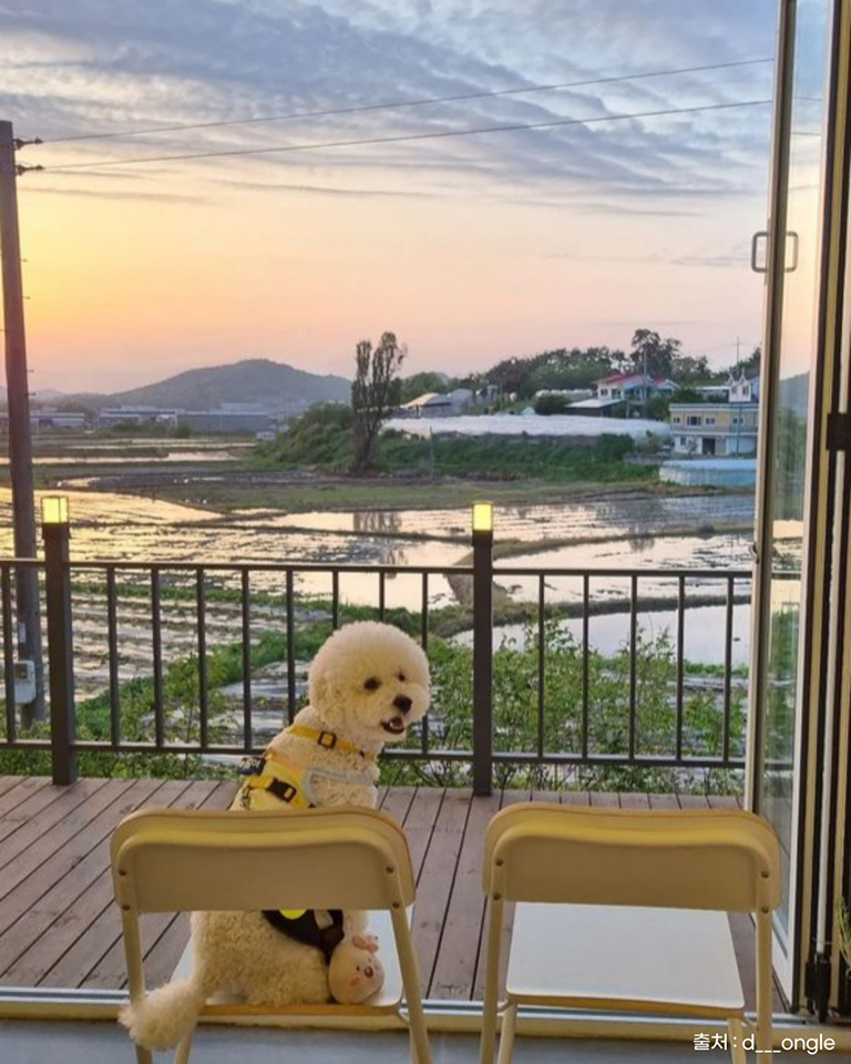 로스팩토리