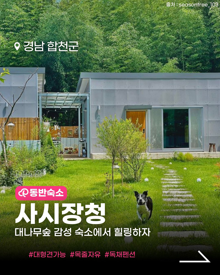 사시장청