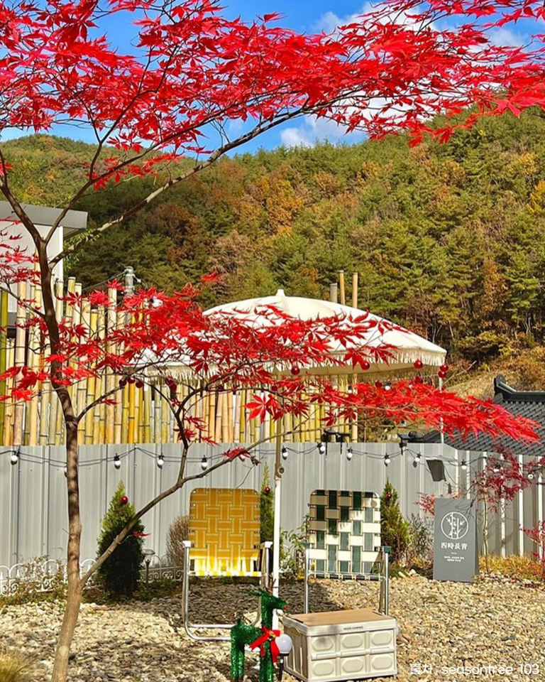 사시장청