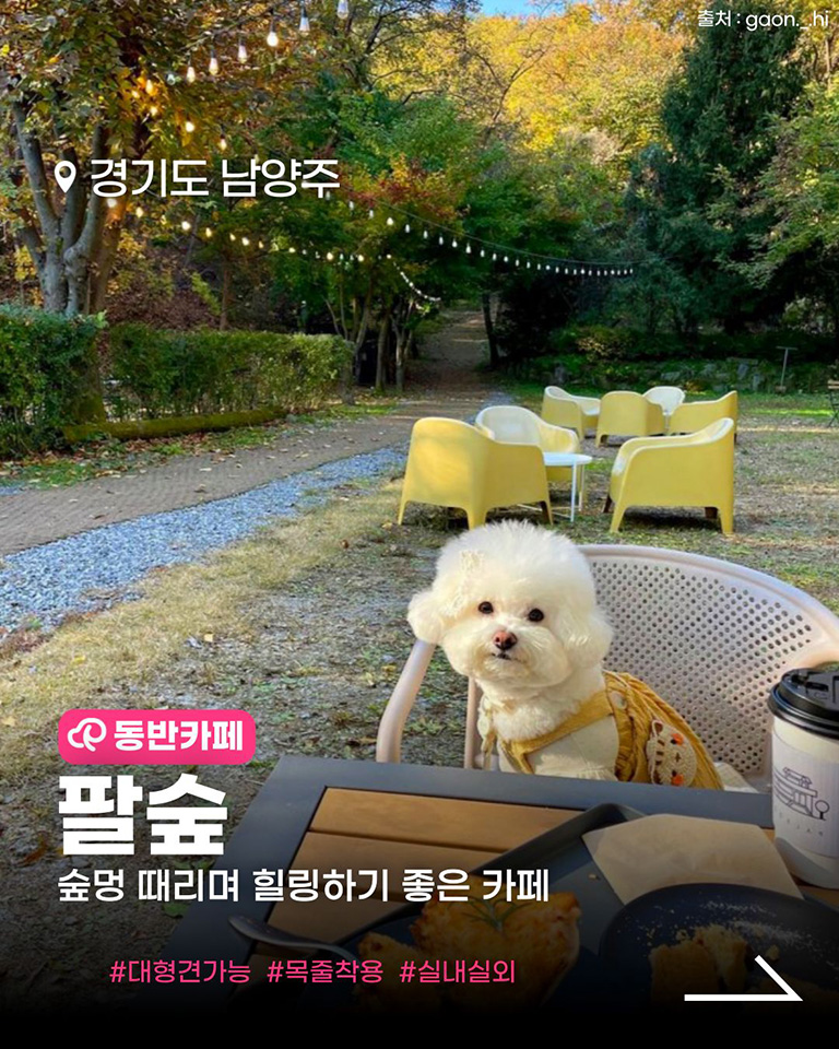 팔숲