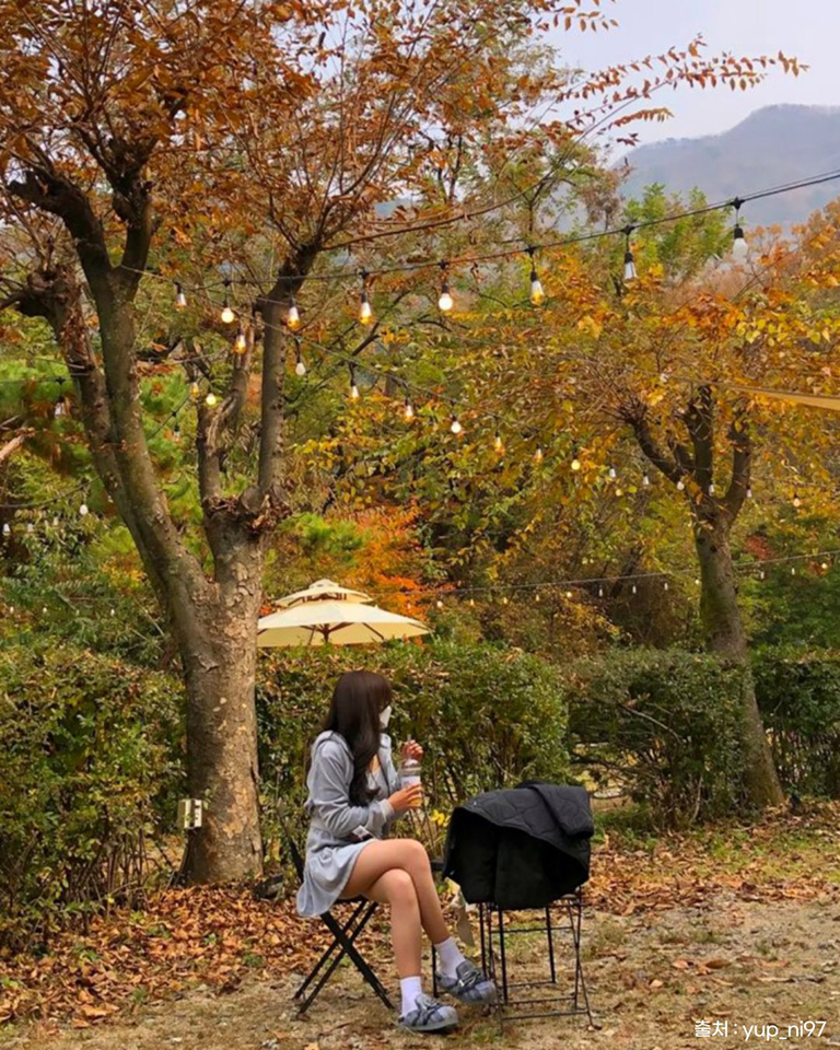 팔숲