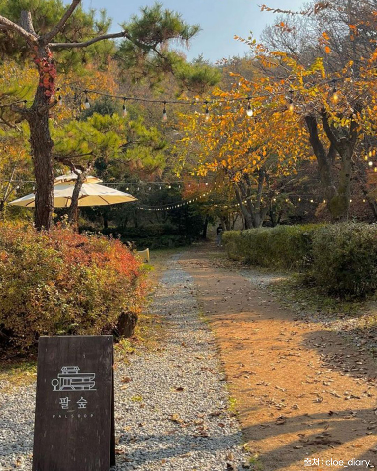 팔숲
