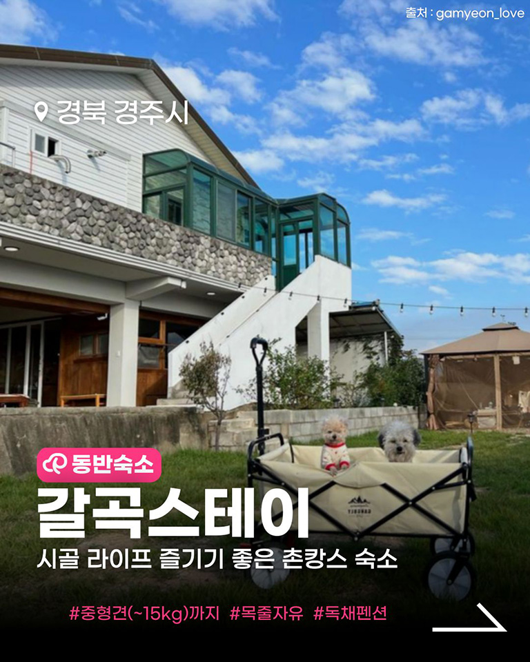 갈곡스테이