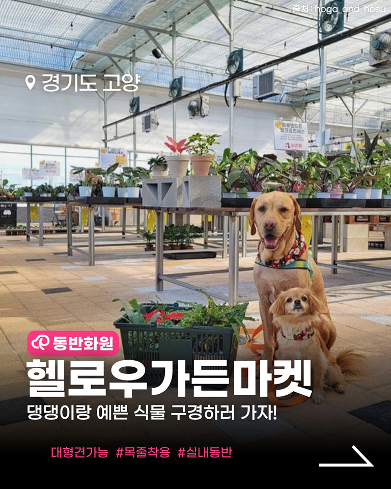 헬로우가든마켓