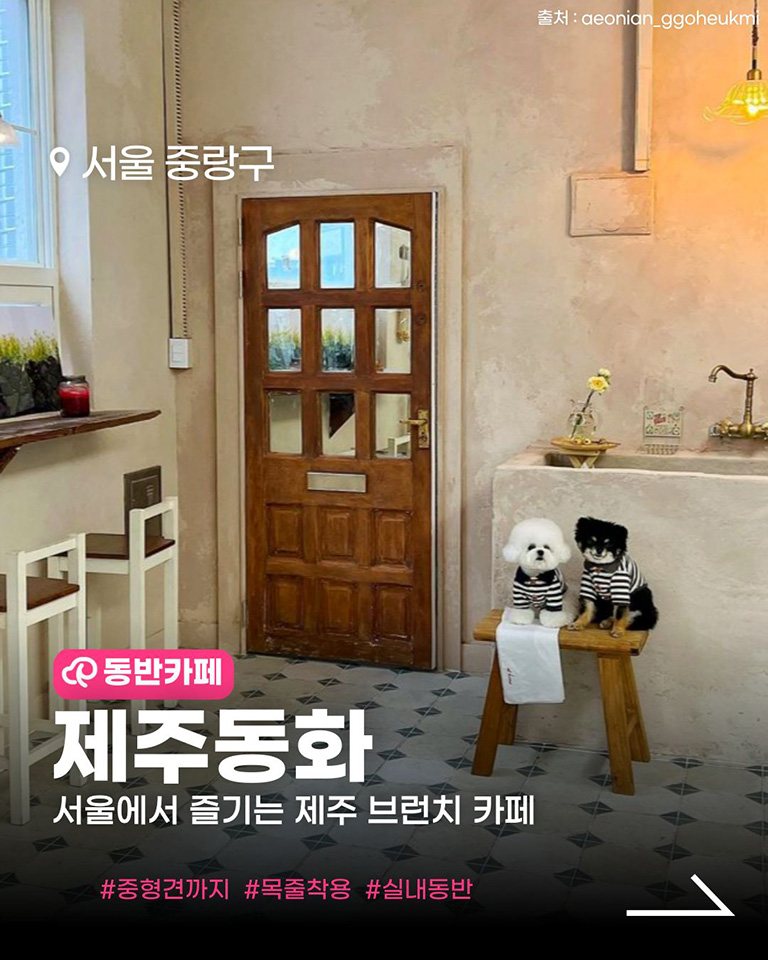 제주동화