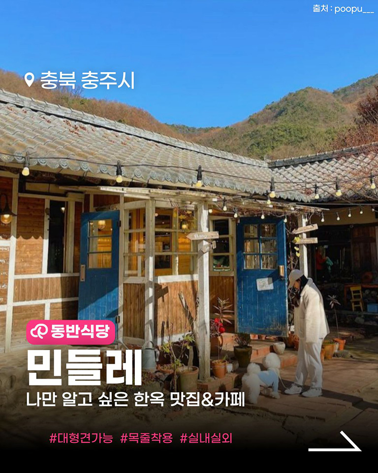 민들레