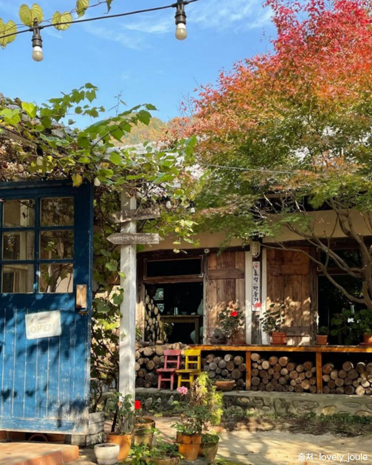 민들레