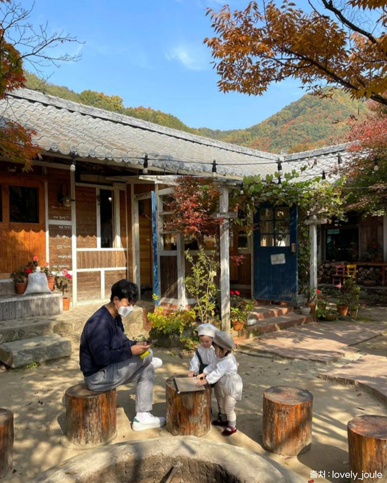 민들레