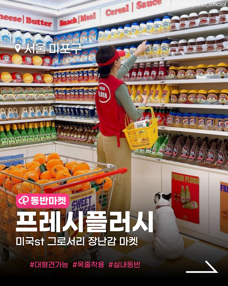 프레시플러시