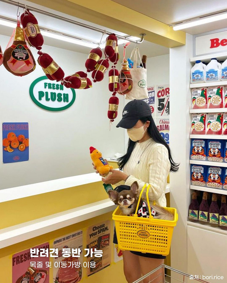 프레시플러시