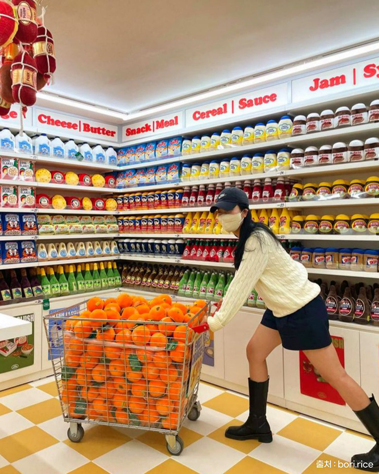 프레시플러시