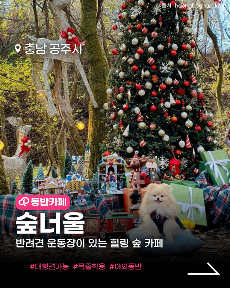 숲너울