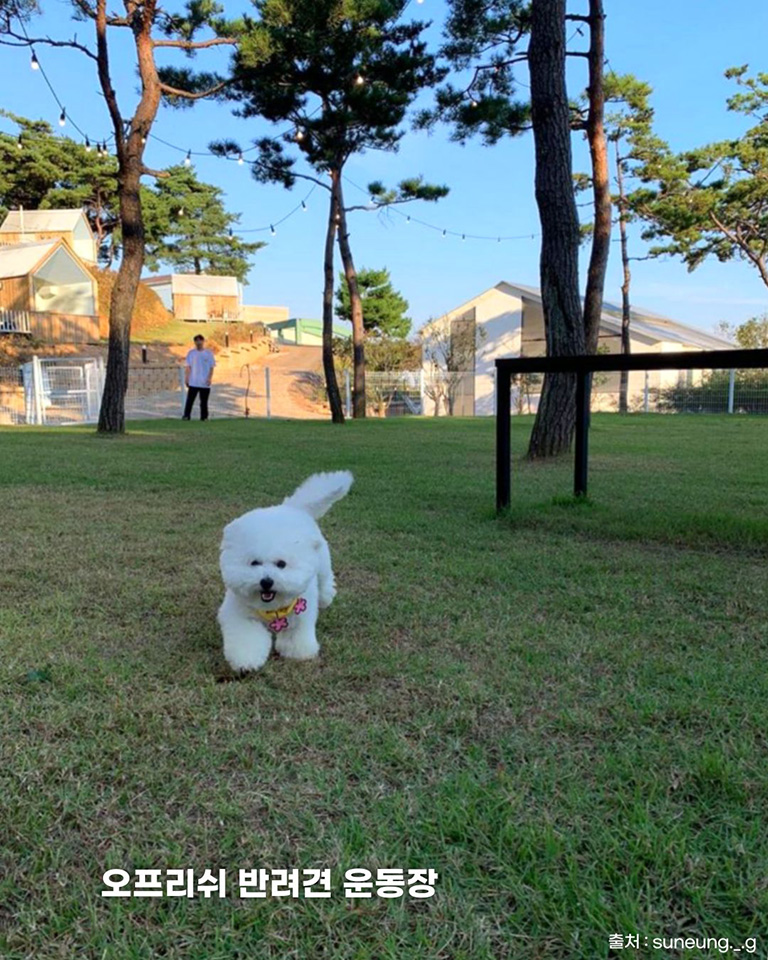 오솔길