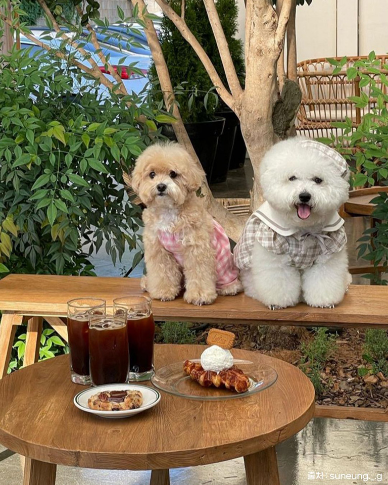 오솔길