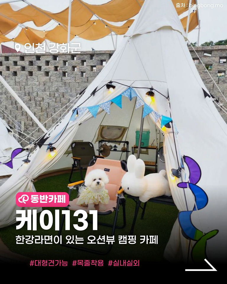 케이131