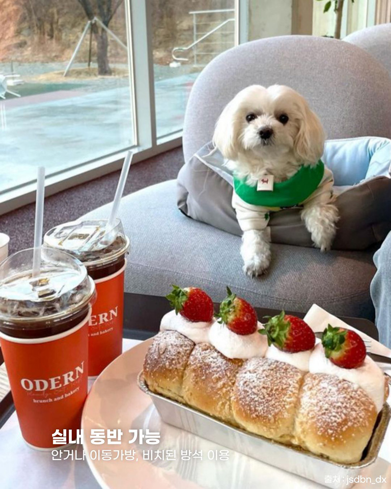 오던