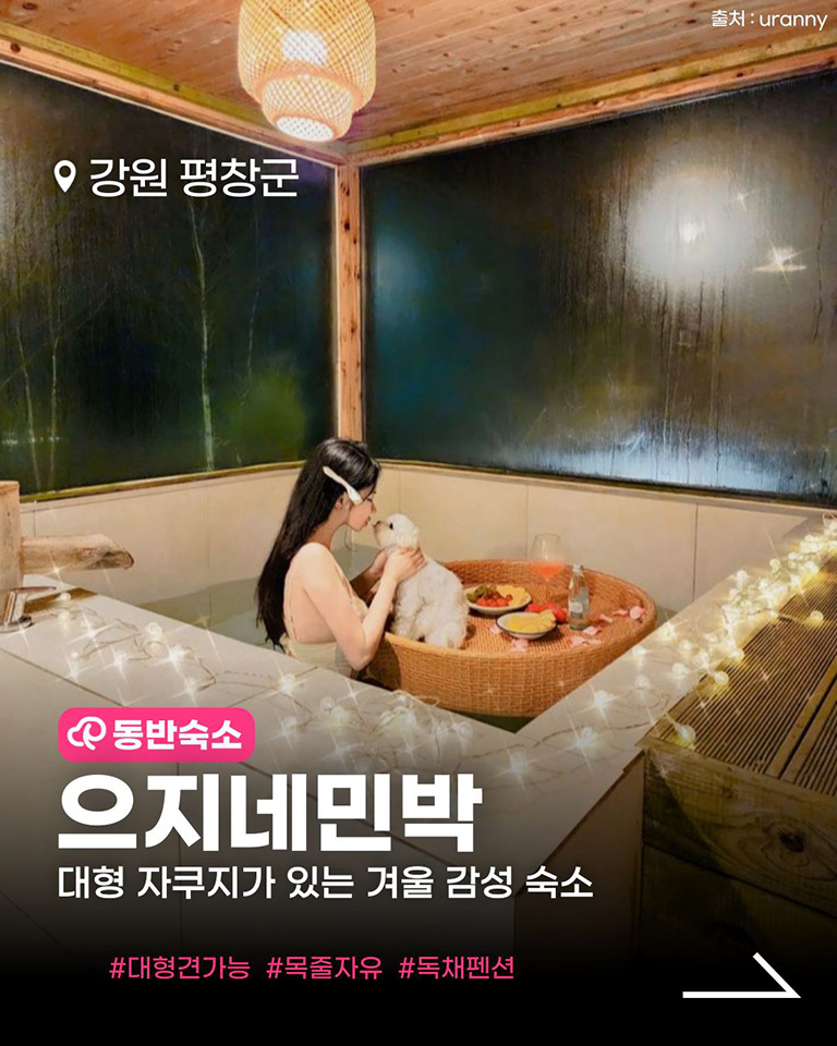 으지네민박