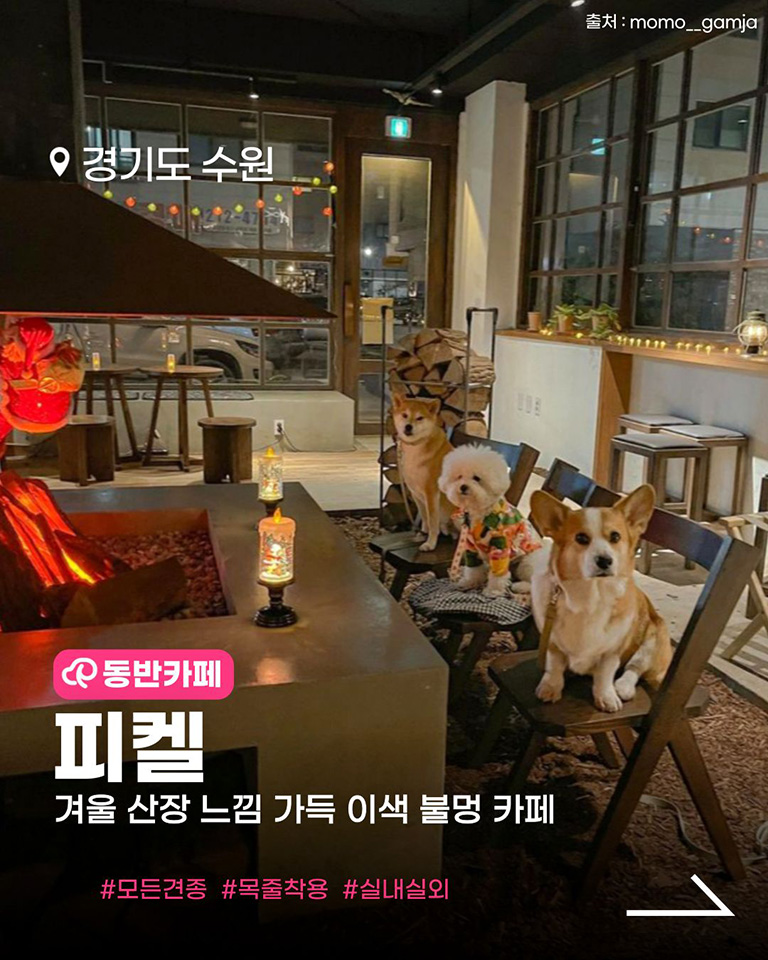 피켈