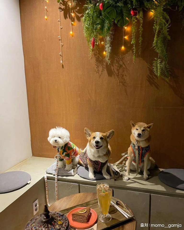 피켈