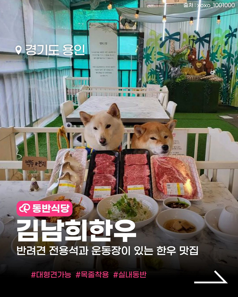 김남희한우