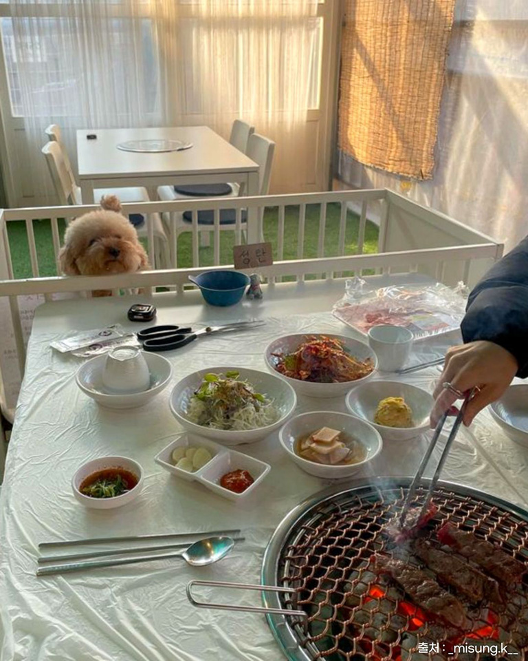 김남희한우