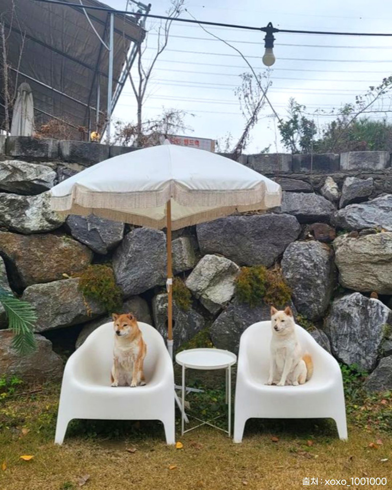 김남희한우
