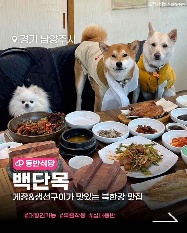 백단목 간장게장