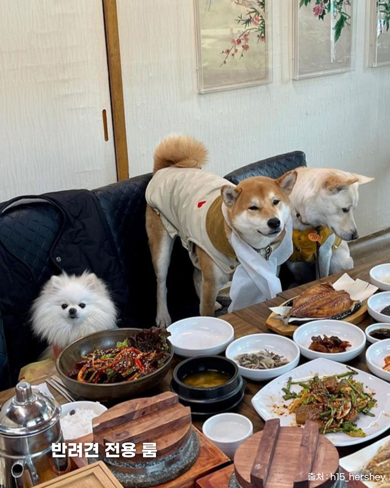 백단목 간장게장