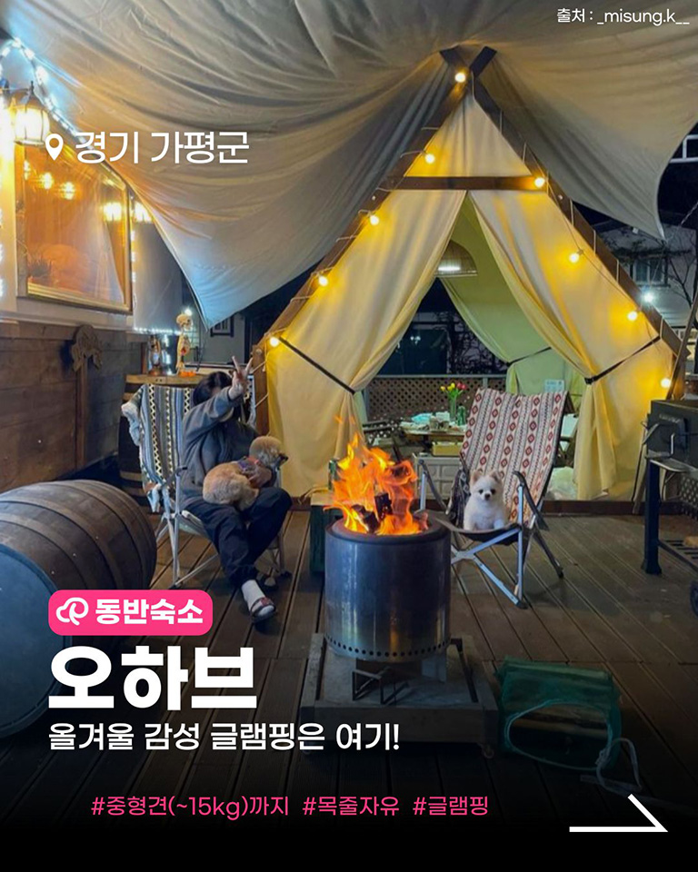 가평 오하브글램핑
