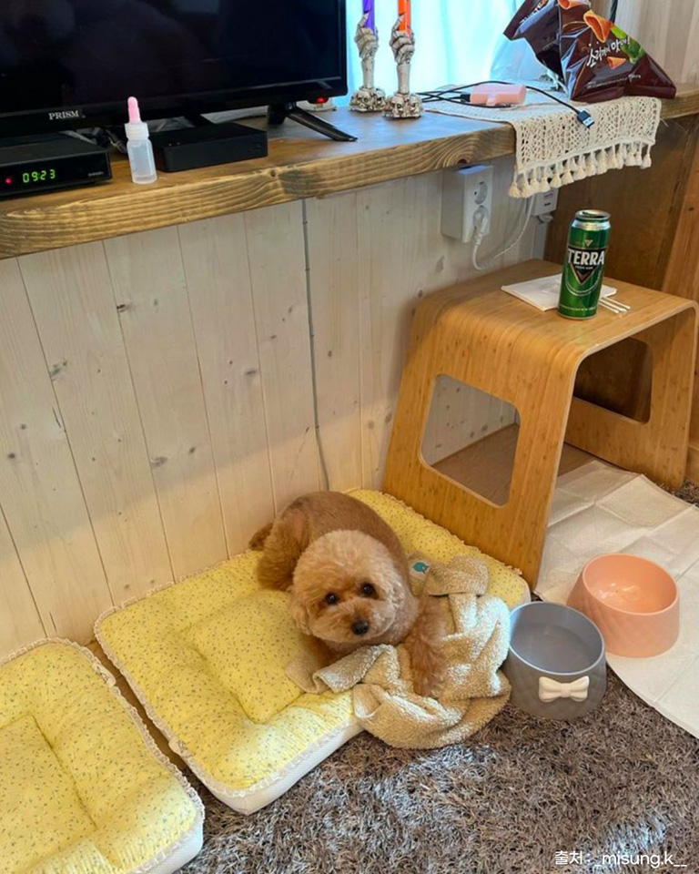 가평 오하브글램핑