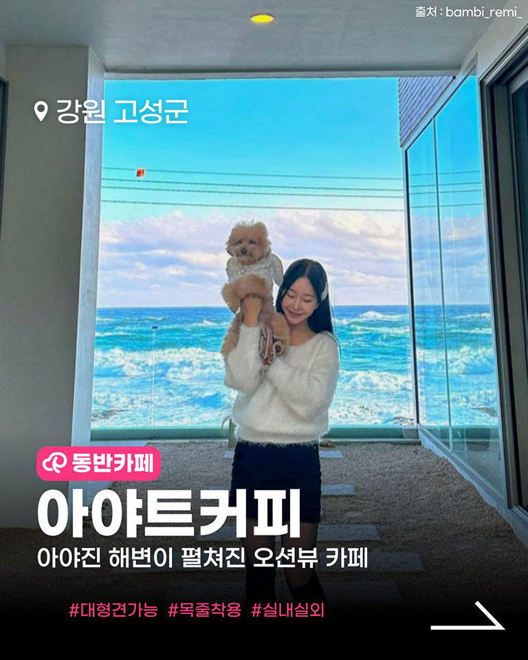 아야트커피