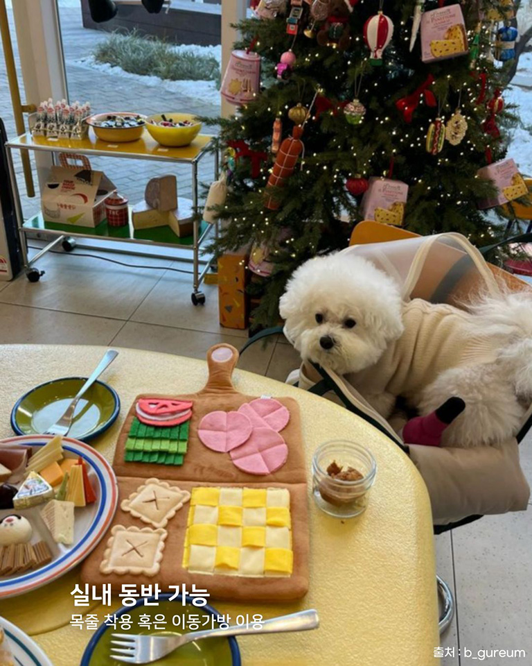 유어네이키드치즈