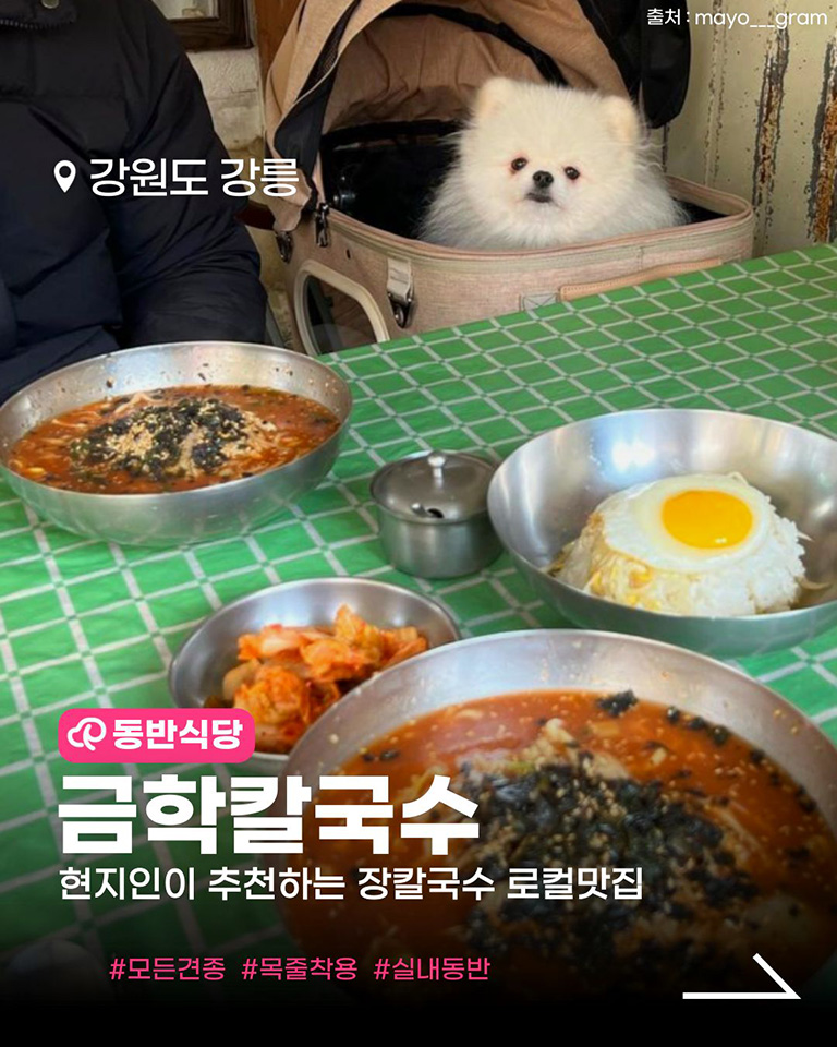 금학칼국수