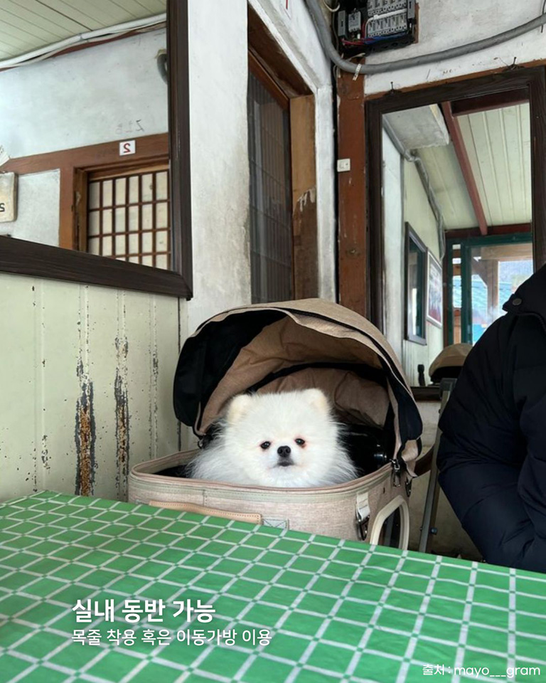 금학칼국수