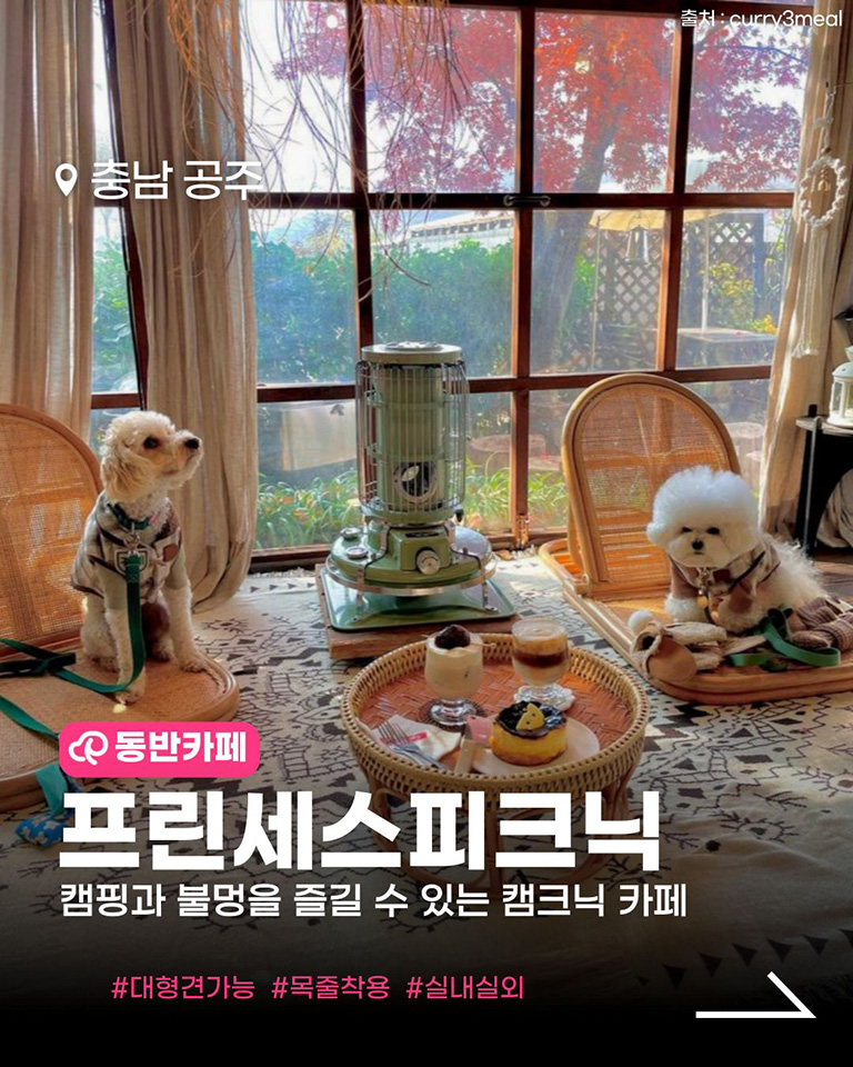프린세스 피크닉카페