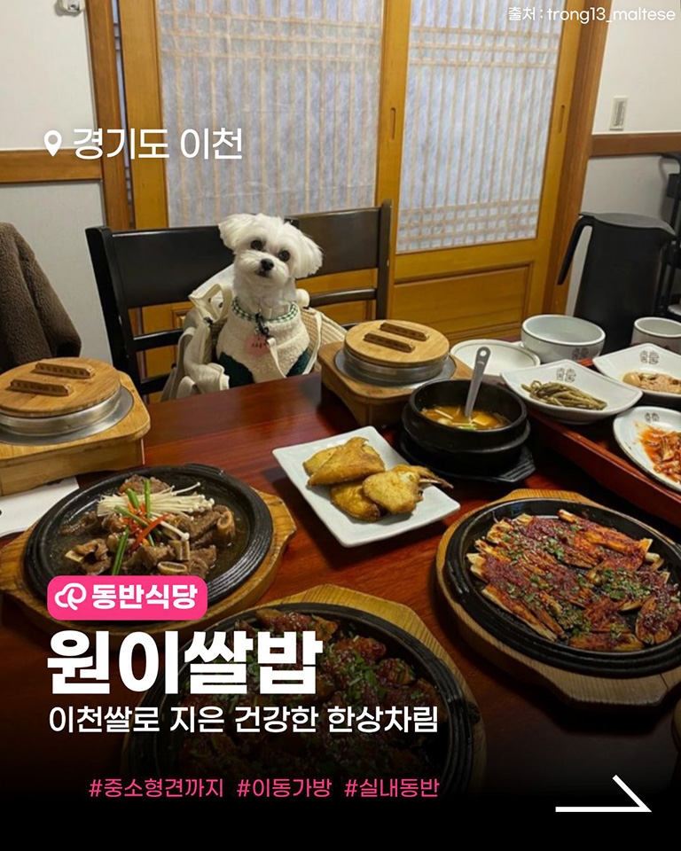 원이쌀밥