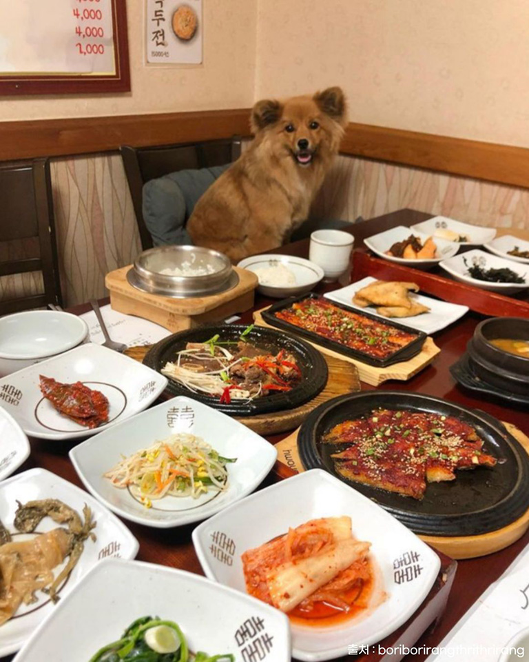 원이쌀밥