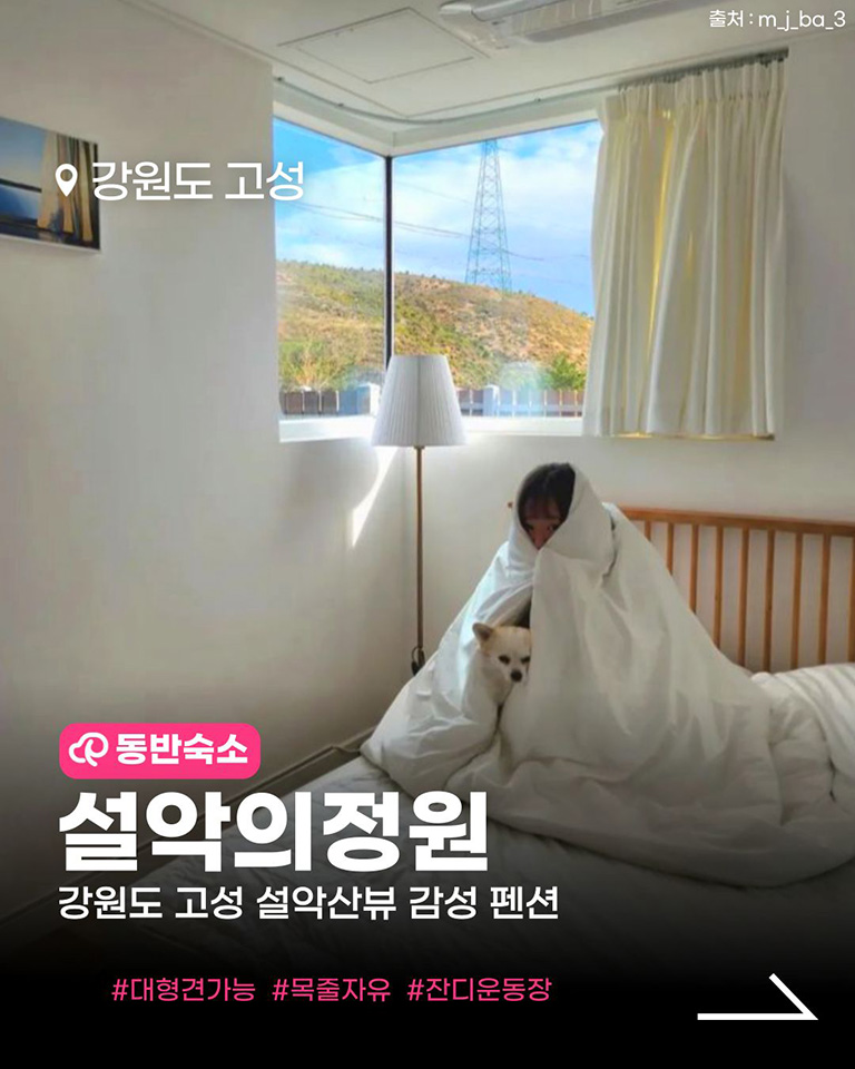 설악의정원애견펜션