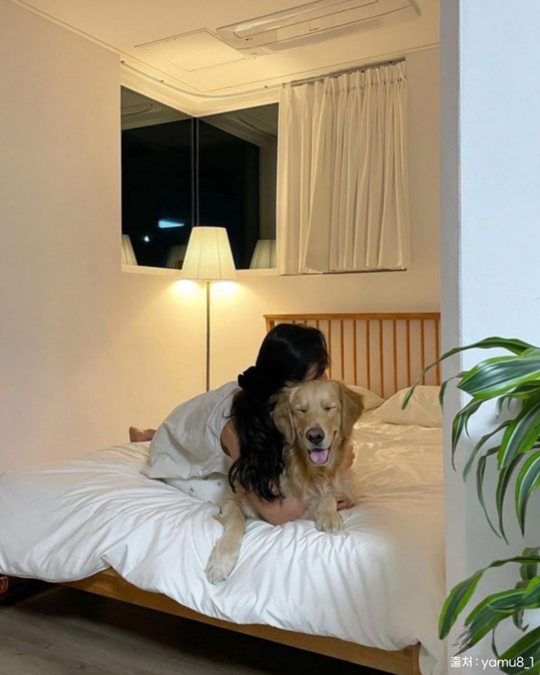 설악의정원애견펜션