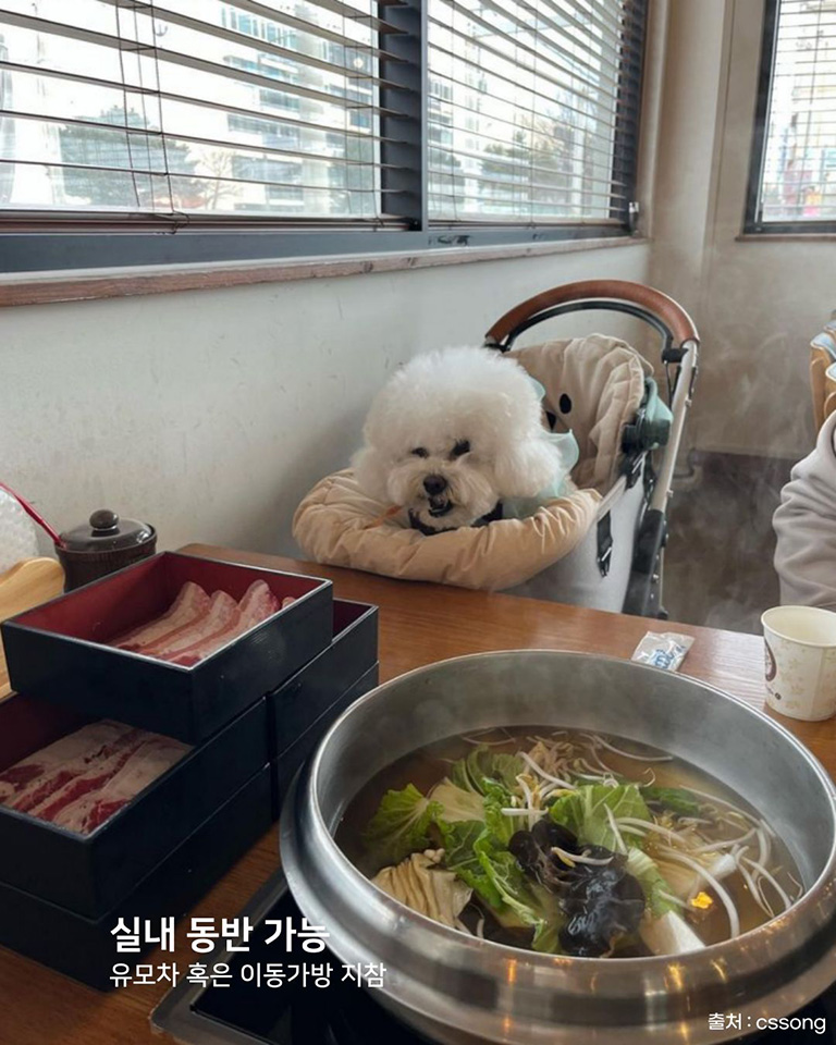 신리광장