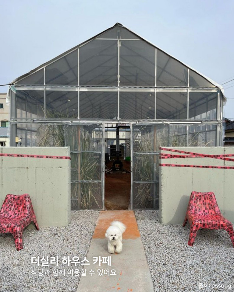 신리광장
