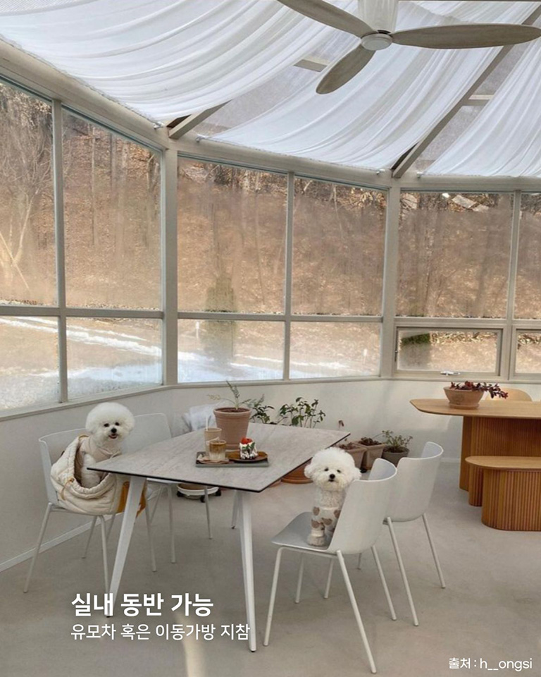로우드