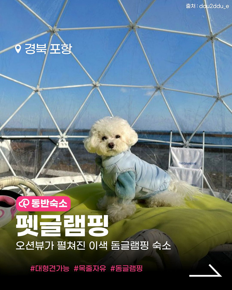 펫글램핑