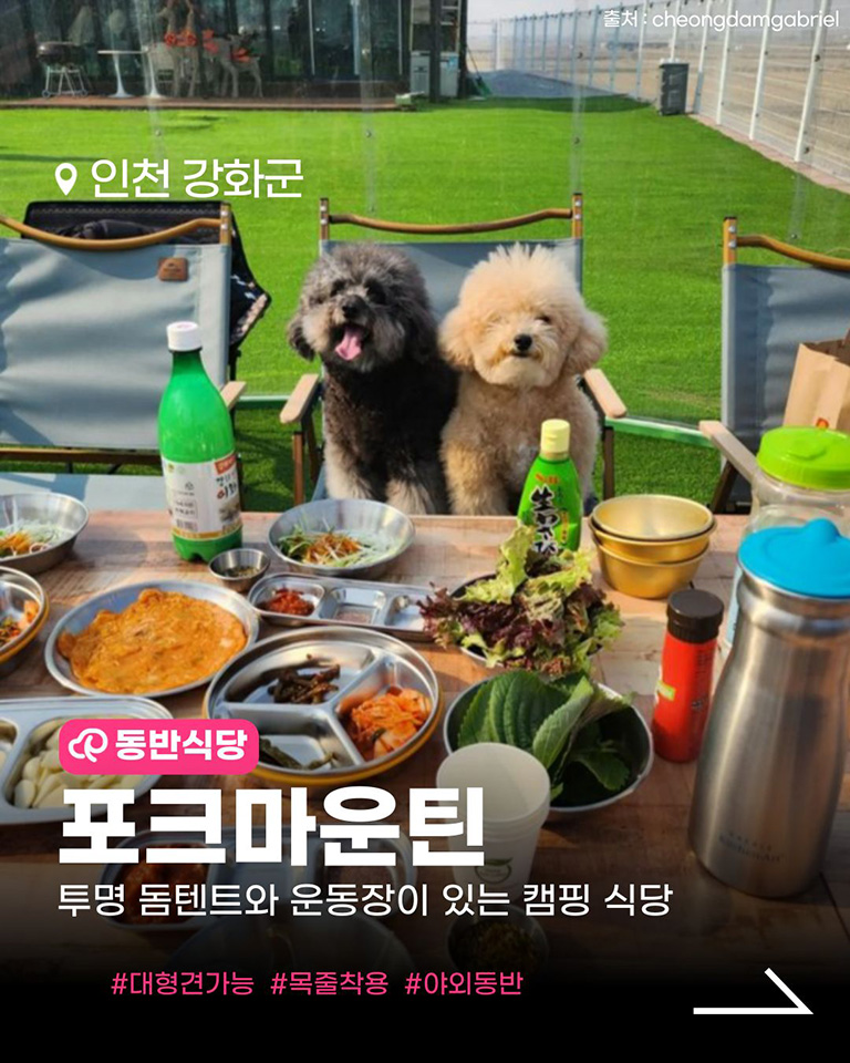 포크마운틴