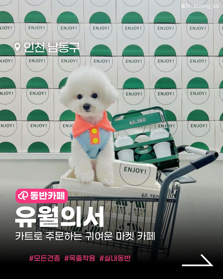 유월의서
