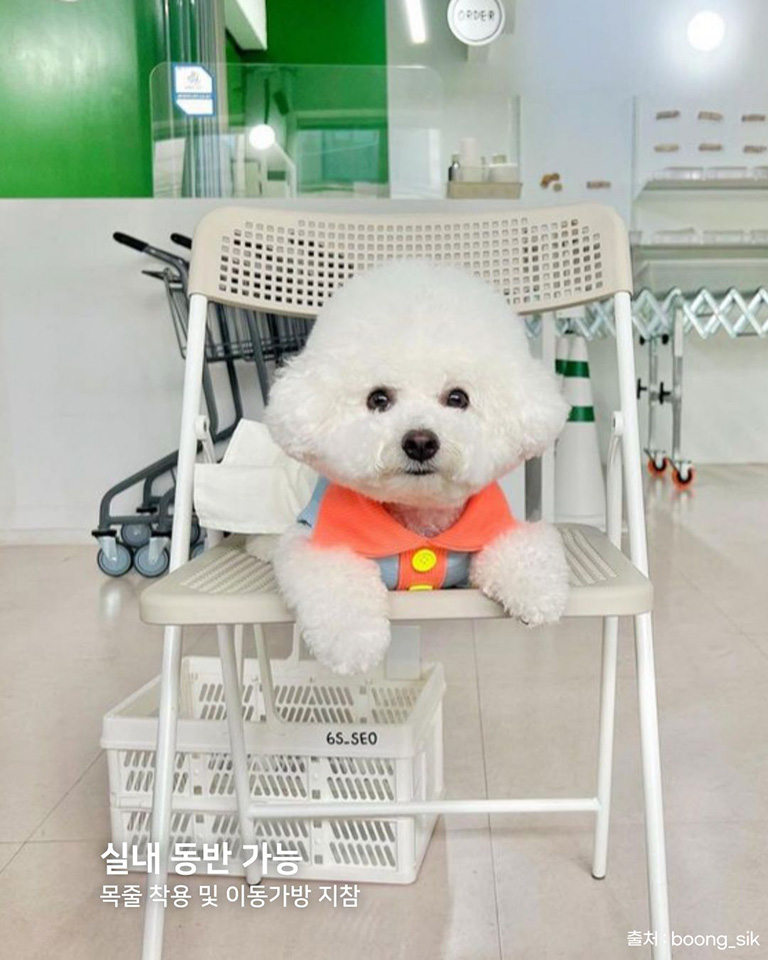유월의서